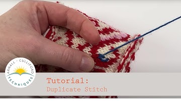 Duplicate Stitch