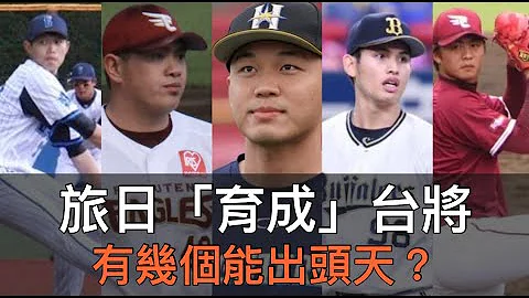 王柏融並非「降轉」育成第一人？旅日台將簽「育成約」有幾個打出成績？ - 天天要聞