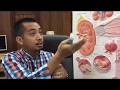 Kidney stones at UTI, Prostate, Masakit at Hirap Umihi - ni Doc Ryan Cablitas (Urologist) #13