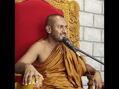 Difference Between Knowledge And Wisdom 