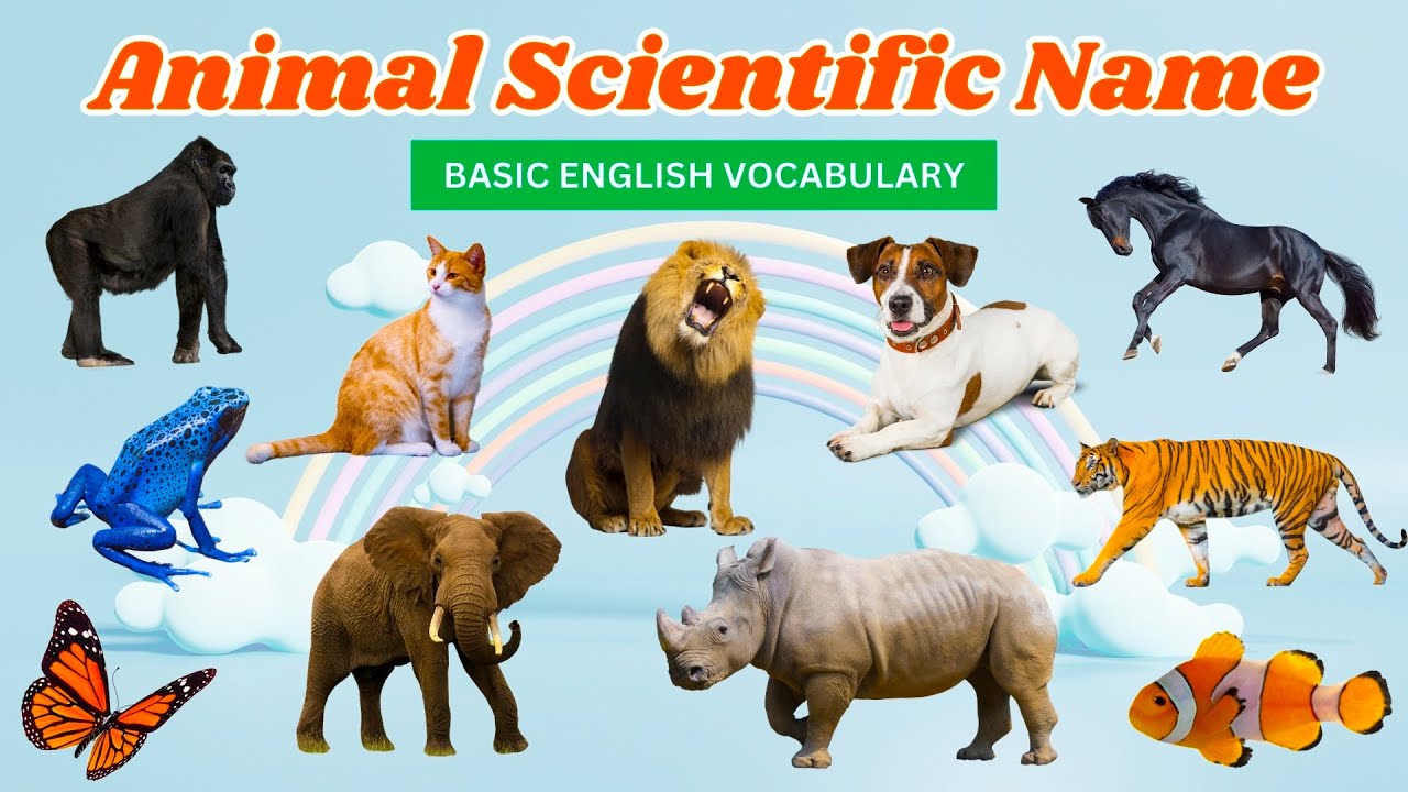 Animal Scientific Name Scientific Name Of All Animals Animals And animal-scientific-name-scientific-name-of-all-animals-animals-and