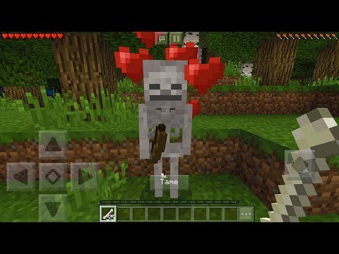 How To Make a Friendly Skeleton in Minecraft Pocket Edition (Friendly Skeleton Addon)