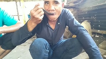 Món ăn kinh dị tiết canh heo của người m