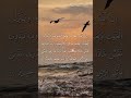 سورة لقمان آية 34 بصوت الشيخ ياسر الدوسري 
