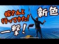 春イカ到来？今回も【エギング】嫁さん一生懸命頑張った結末とは・・？ ステイタイプS eging gopro