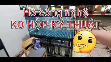 Hồ công nghệ mới 2021/ hồ cnm ko hộp kỹ thuật/ Aquarium Design VT