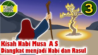 Nabi Musa AS Part 3 - diangkat Menjadi Nabi dan Rasul - Kisah Islami Channel