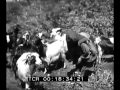شريط لمدينة بنغازي قبل 100 عام تسجيل من الارشيف الايطالي سجل 1912 شريط لمدينة بنغازي قبل 100 عام تسجيل من الارشيف الايطالي سجل 1912