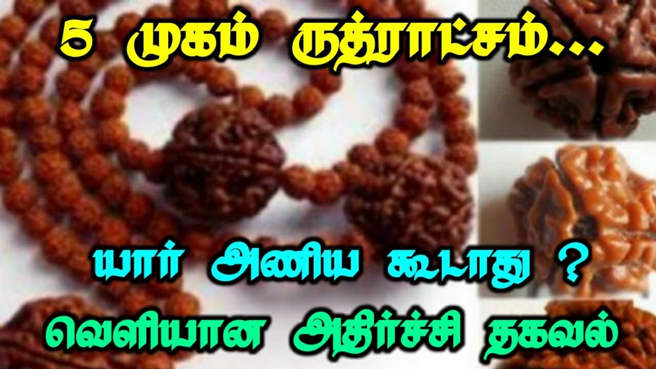 5 முகம் ருத்ராட்சம்...யார் அணிய கூடாது ? வெளியான அதிர்ச்சி தகவல் !