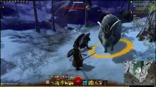 Guild Wars 2- Male Norn Ranger Sword Animation