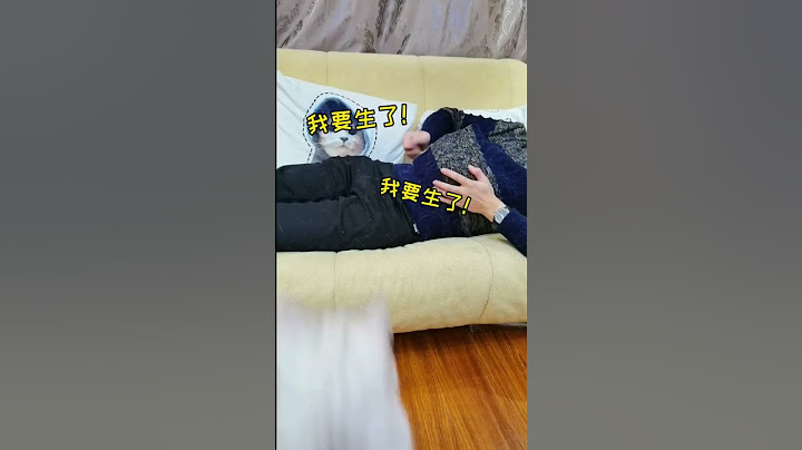 假装怀孕，看小猫的反应🐱#shorts #cat #cats