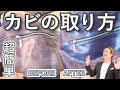 【激変】カビが生えたバッグ、諦めないで!ほぼ確実に取れるカビの取り方【バッグのカビ 取り方】
