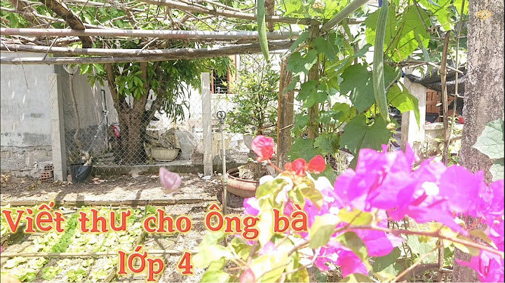 Bài văn viết thư cho bà lớp 4