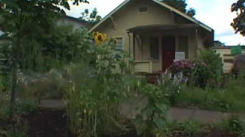 Food not lawns: urban gardens in Eugene (Oregon) y...