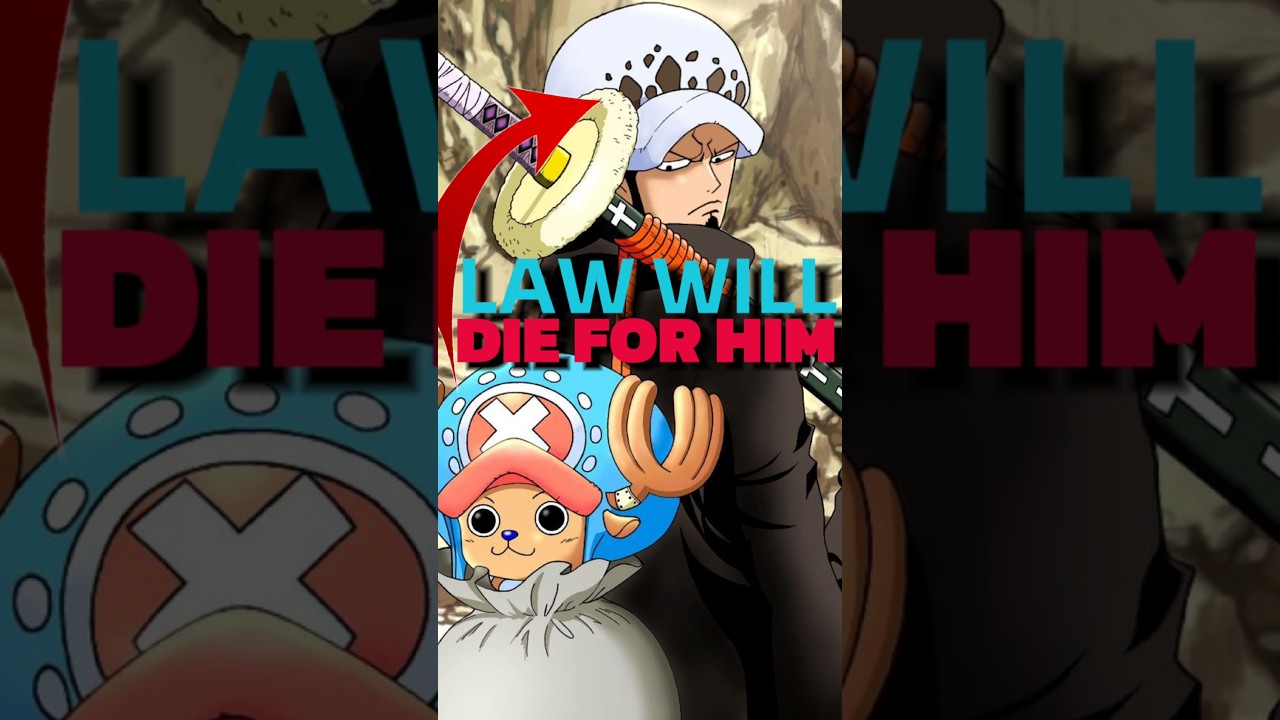 LAW WILL DIE FOR HIM! ONE PIECE THEORY 