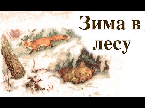 Учебник Родная речь | Зима в лесу