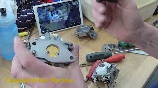 Mercury 9.9 Carburetor flooding