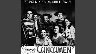 Video thumbnail of "Conjunto Cuncumén - El Palomo"