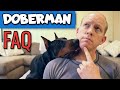 Your Doberman Ownership Questions Just Got ANSWERED!