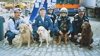 The Working Dogs of 9/11: A Legacy of Love