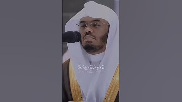 القارئ ياسر الدوسري ((سورة يونس))