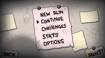 [Binding of Isaac: Rebirth] Get Both Items with There