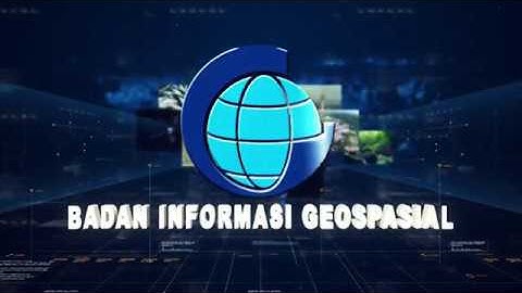 Badan Informasi Geospasial - VP