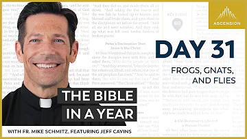Day 31: Frogs, Gnats, and Flies — The Bible in a Year (with Fr. Mike Schmitz)