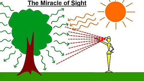 Can You Believe It? #15 The Miracle of Sight - DayDayNews