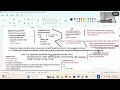 YML FILE || Spring Boot || DAY 15