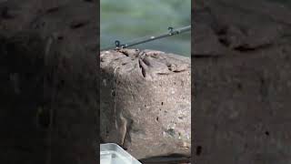 Spanish Fly Fishing