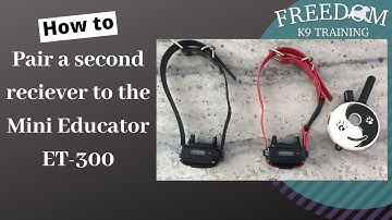 How to pair a second collar to the Mini Educator ET-300 | Freedom K9 Training
