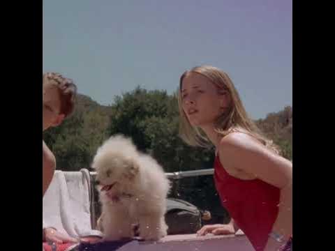 Crocodile (2000) | Crocodile Movie - YouTube