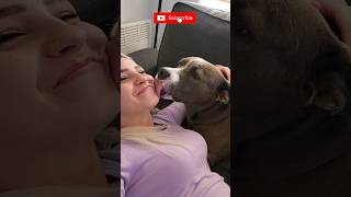 Kiss Your Dog on the Head and See Their Reaction Challenge #dog #shorts #challenge #funny #doglover