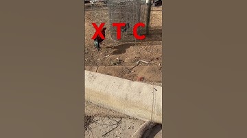 Qaib Thai #qaib #coops #bantam # chicken