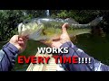 THIS Is Where Those BIG BASS Are ALWAYS Hiding!!! My Summer Cheat Sheet!!!