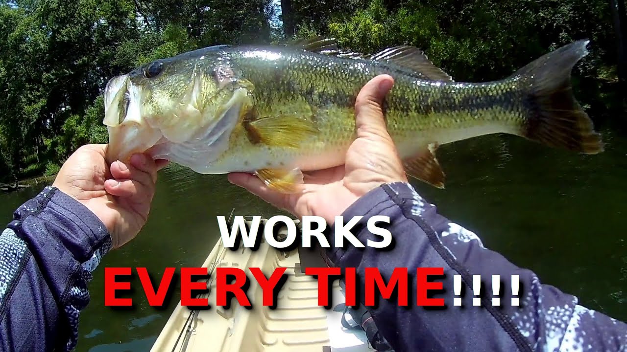 THIS Is Where Those BIG BASS Are ALWAYS Hiding!!! My Summer Cheat Sheet!!!