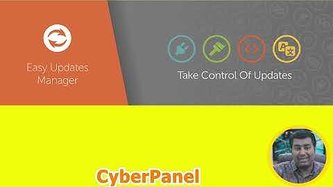 The Best Plugins to Disable WordPress Auto Update