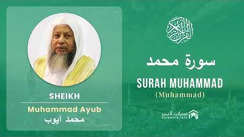 Quran 47   Surah Muhammad سورة محمد   Sheikh Mohammad Ayub - With English Translation