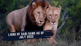 NEW MALES CHALLENGING VETERANS - TUMBELA MALE PASSES AWAY - THE LIONS OF SABI SANDS EPISODE 9