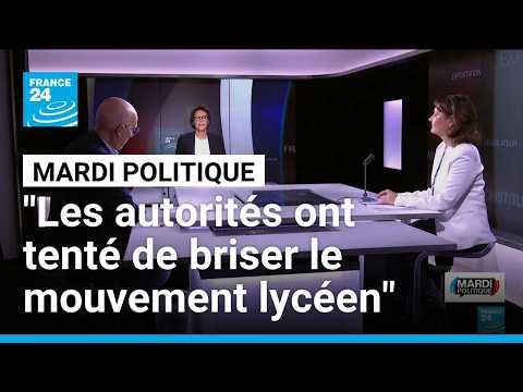 Eva Sas (Les Écologistes) : "Les autorités ont tenté de briser le mouvement lycéen"
