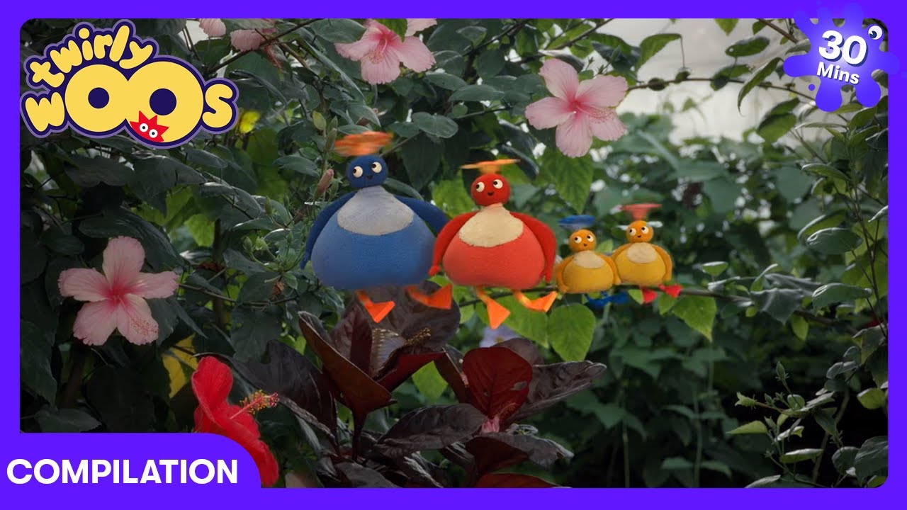 Twirlywoos - Små sommerfugle og søstjerner | Børnefilm | WildBrain Førskole