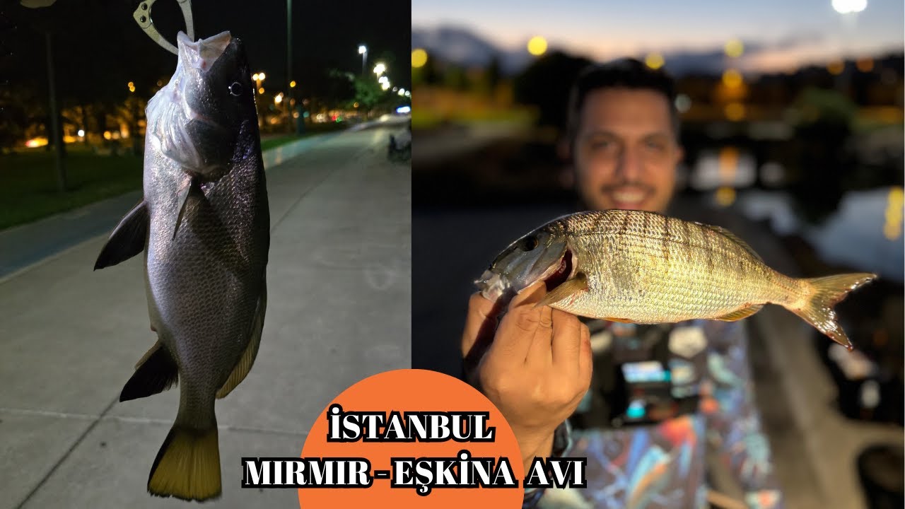 İSTANBUL MIRMIR - EŞKİNA AVI !!!  MERA HAREKETLENDİ KİMSELER YOK  !!!