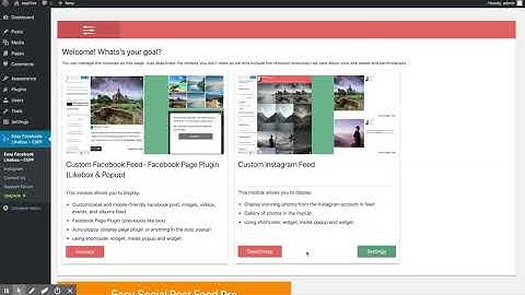 Enable disable modules of Easy Social Post Feed WordPress plugin