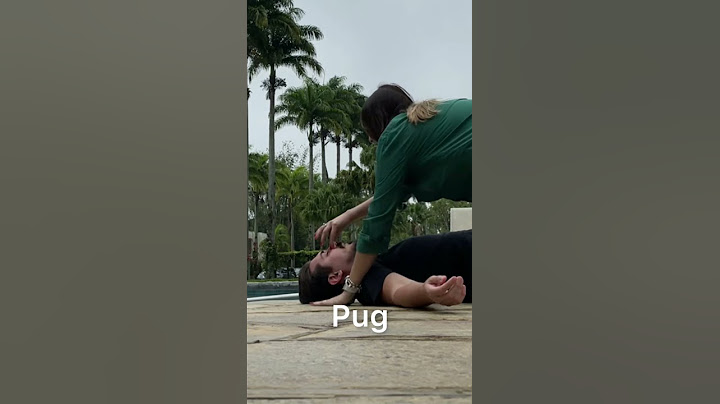 COMO EU IMAGINO AS RAÇAS DE CÃES NA PISCINA
