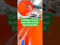 Caribbean Cruiser Waterslide at West Edmonton Mall
