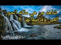 شاهد من هي ملكة الحور العين وماصفاتهن ومايقومن به مع الرجال فى الجنه دواؤنا بين ايدينا 