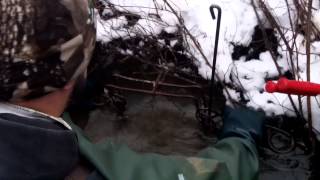 How Set Beaver Traps Near a Lodge