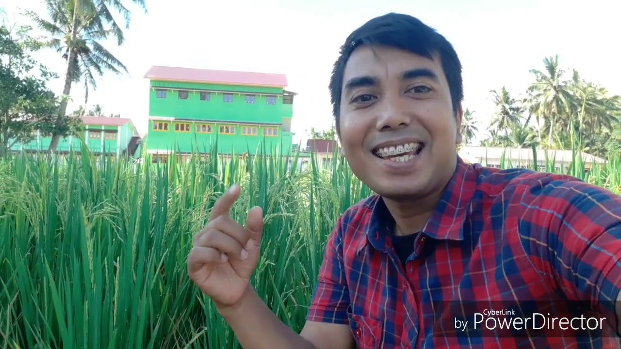 Hama dan Penyakit Pada Tanaman oleh Bapak Ahmad Budi Hasibuan, S.Si