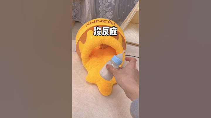【小奶貓成長記】如何捕捉一隻貪吃的「小蜜蜂喵」